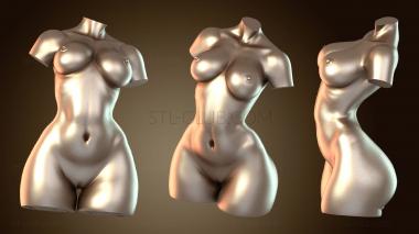 3D мадэль Тренировка торса и бюста (STL)