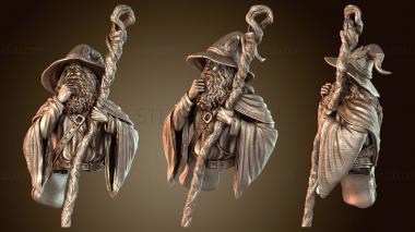 3D модель Первичный линус бюст (STL)