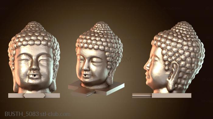 Бюсты монстры и герои BUSTH_5083