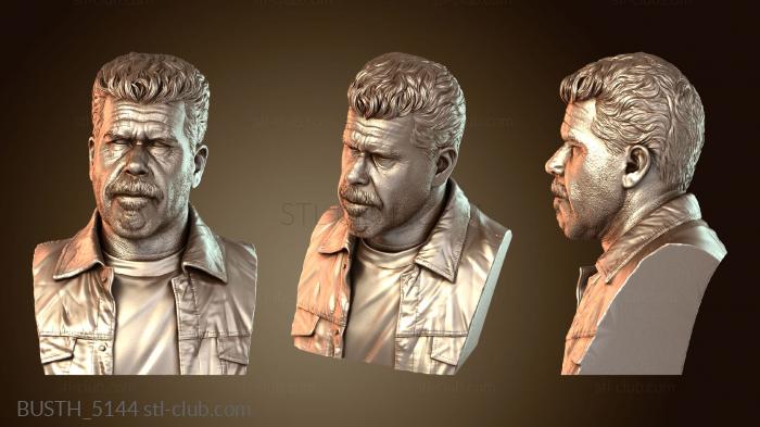 Бюсты монстры и герои BUSTH_5144