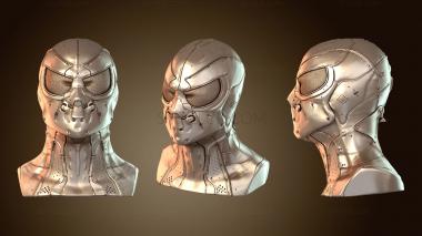 3D model Spider Man Bust (STL)