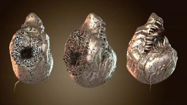 3D мадэль Бюст из монеты Venom с суставами (STL)