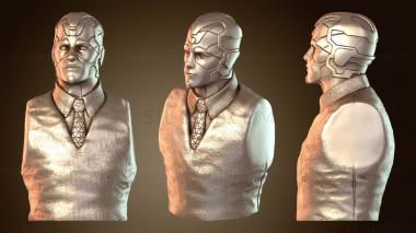 3D модель Бюст Casual Vision (STL)