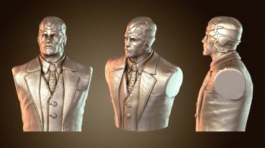 3D мадэль Простой бюст Vision (STL)