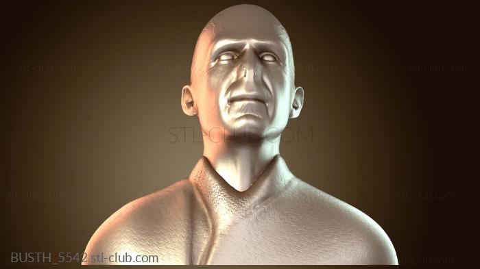 Бюсты монстры и герои BUSTH_5542