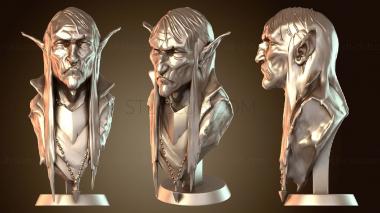 3D model Disturbing Hitleresque bust (STL)