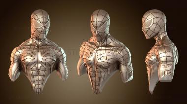 3D мадэль BUSTH_5636 (STL)