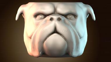 3D мадэль BUSTH_5681 (STL)