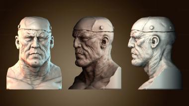 3D мадэль BUSTH_5689 (STL)