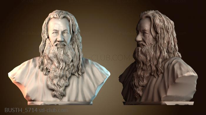 Бюсты монстры и герои BUSTH_5714