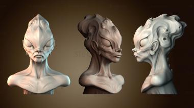 3D model BUSTH_5742 (STL)