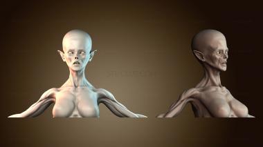 3D model BUSTH_5812 (STL)