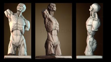 3D мадэль BUSTH_5815 (STL)