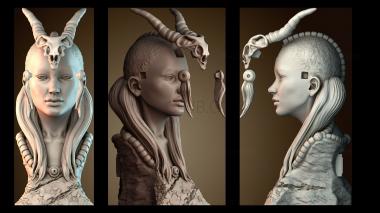 3D model BUSTH_5849 (STL)