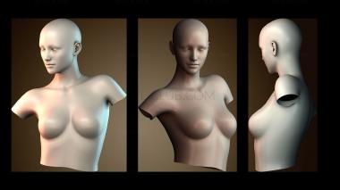 3D мадэль BUSTH_5883 (STL)