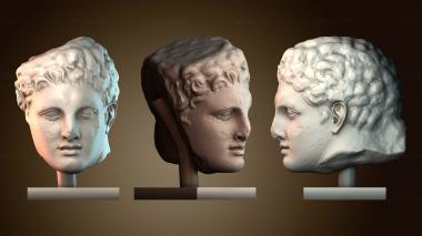 3D мадэль BUSTH_5889 (STL)