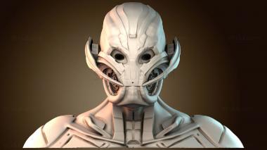 3D мадэль BUSTH_5896 (STL)