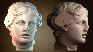 3D мадэль BUSTH_5909 (STL)