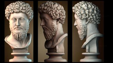 3D мадэль BUSTH_5914 (STL)