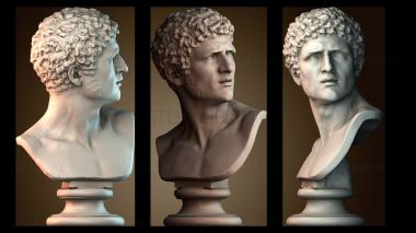 3D модель BUSTH_5926 (STL)