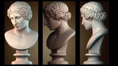 3D модель BUSTH_5928 (STL)