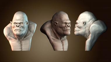 3D мадэль BUSTH_5958 (STL)