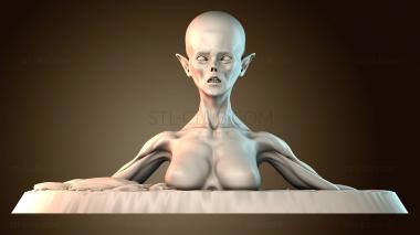 3D мадэль BUSTH_5997 (STL)