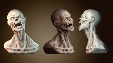 3D model BUSTH_6082 (STL)