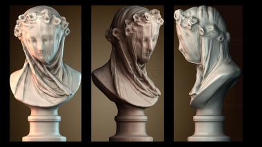 3D model BUSTH_6159 (STL)