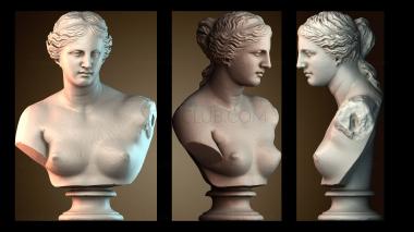 3D мадэль BUSTH_6187 (STL)