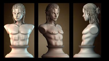 3D мадэль BUSTH_6214 (STL)