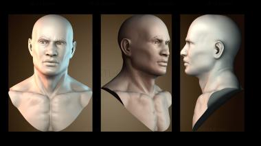 3D мадэль BUSTH_6249 (STL)