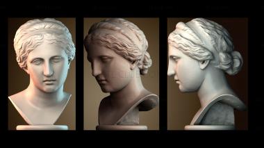 3D модель BUSTH_6258 (STL)