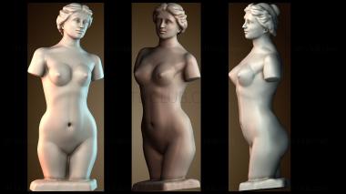 3D мадэль BUSTH_6263 (STL)