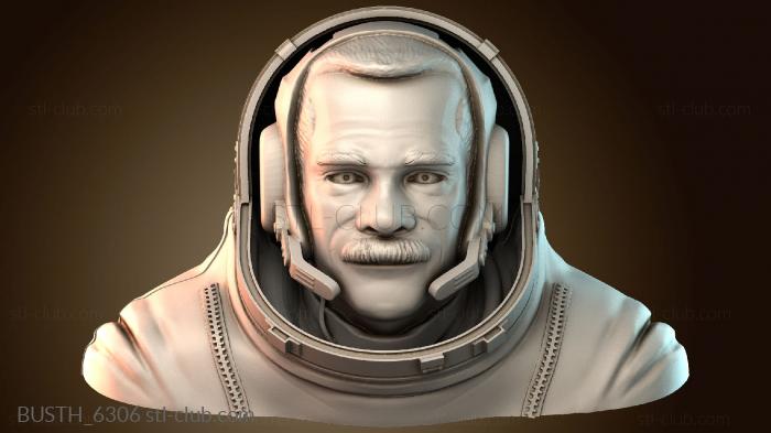 Бюсты монстры и герои BUSTH_6306