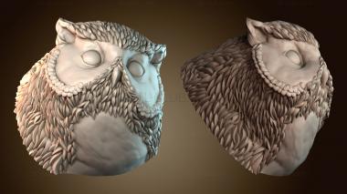 3D мадэль BUSTH_6337 (STL)