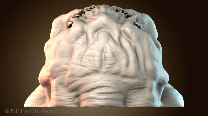 Бюсты монстры и герои BUSTH_6338