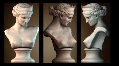 3D мадэль BUSTH_6356 (STL)