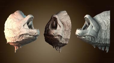 3D мадэль BUSTH_6370 (STL)