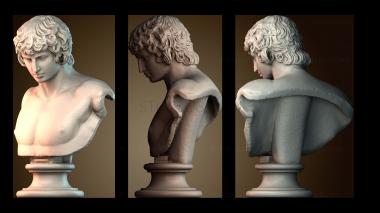 3D мадэль BUSTH_6373 (STL)