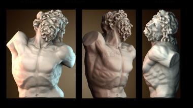 3D мадэль BUSTH_6384 (STL)