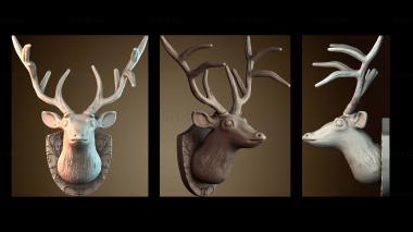 3D мадэль BUSTH_6406 (STL)