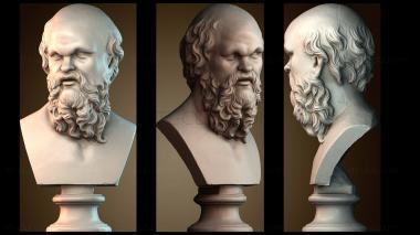 3D model BUSTH_6422 (STL)