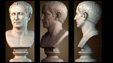 3D model BUSTH_6526 (STL)