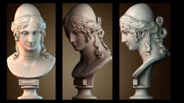 3D мадэль BUSTH_6543 (STL)