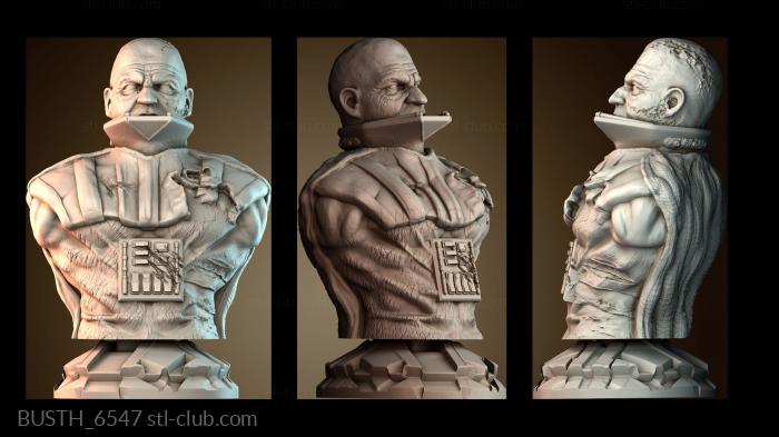 Бюсты монстры и герои BUSTH_6547