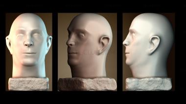 3D model BUSTH_6577 (STL)