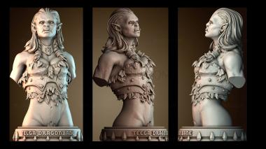 3D мадэль BUSTH_6602 (STL)