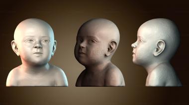 3D мадэль BUSTH_6653 (STL)