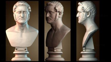 3D мадэль BUSTH_6709 (STL)